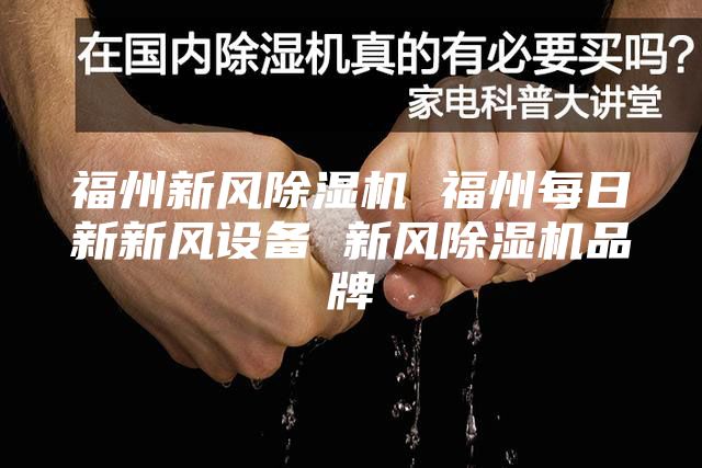 福州新风除湿机 福州每日新新风设备 新风除湿机品牌
