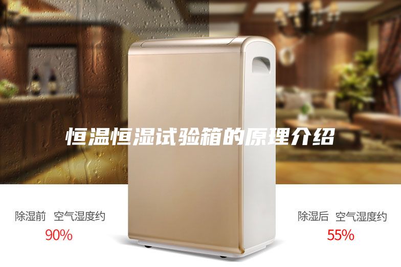 恒温恒湿试验箱的原理介绍