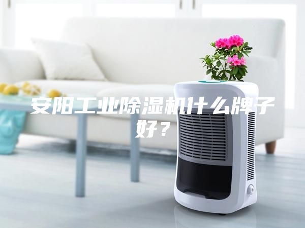 安阳工业除湿机什么牌子好？