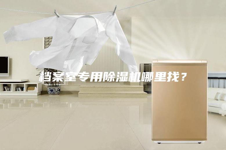 档案室专用除湿机哪里找？