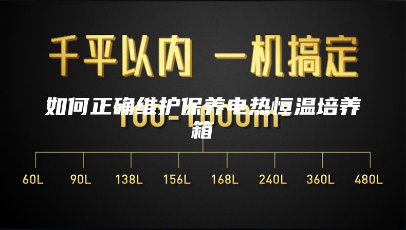 如何正确维护保养电热恒温培养箱