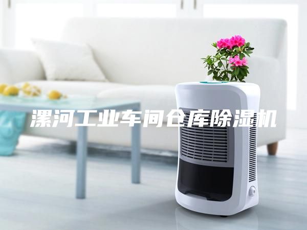 漯河工业车间仓库除湿机
