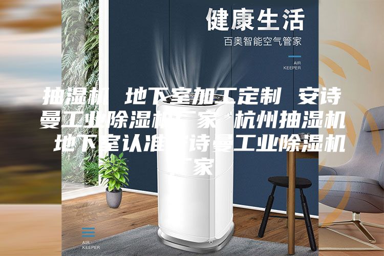 抽湿机 地下室加工定制 安诗曼工业除湿机厂家 杭州抽湿机 地下室认准安诗曼工业除湿机厂家