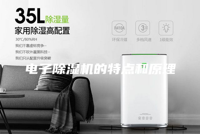 电子除湿机的特点和原理