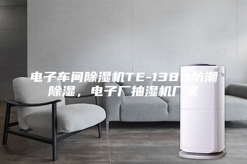 电子车间除湿机TE-138D防潮除湿，电子厂抽湿机厂家