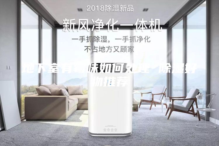 地下室有霉味如何处理 除湿好物推荐