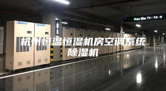 杭州恒温恒湿机房空调系统除湿机