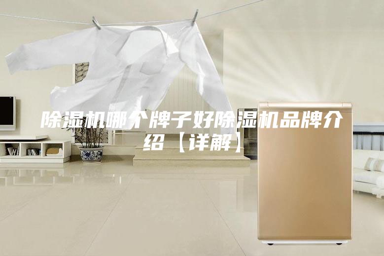 除湿机哪个牌子好除湿机品牌介绍【详解】