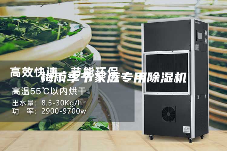梅雨季节家庭专用除湿机