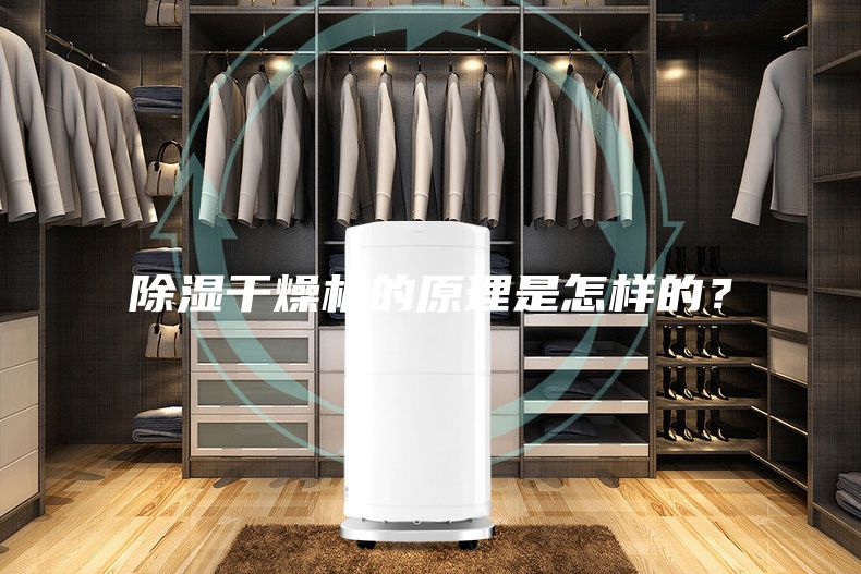 除湿干燥机的原理是怎样的？