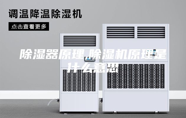 除湿器原理,除湿机原理是什么意思