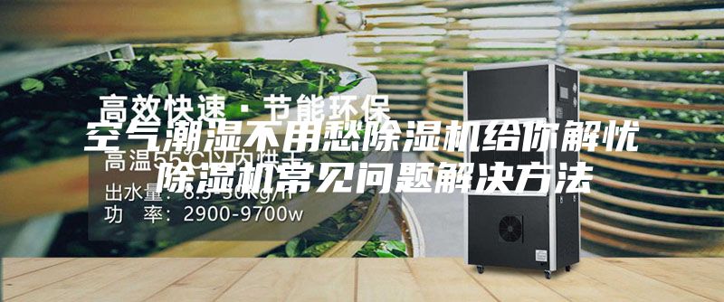 空气潮湿不用愁除湿机给你解忧 除湿机常见问题解决方法