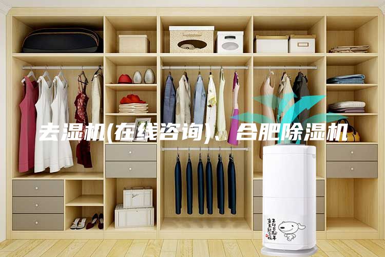 去湿机(在线咨询)、合肥除湿机