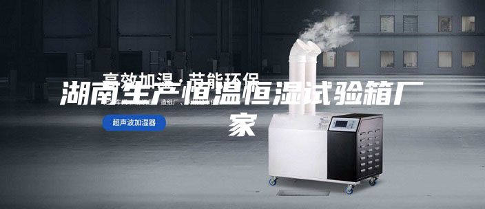 湖南生产恒温恒湿试验箱厂家