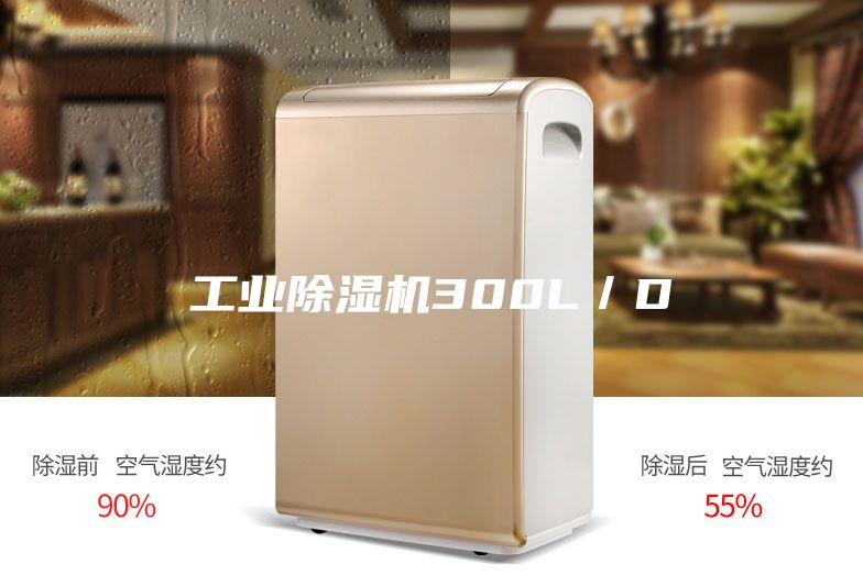 工业除湿机300L／D