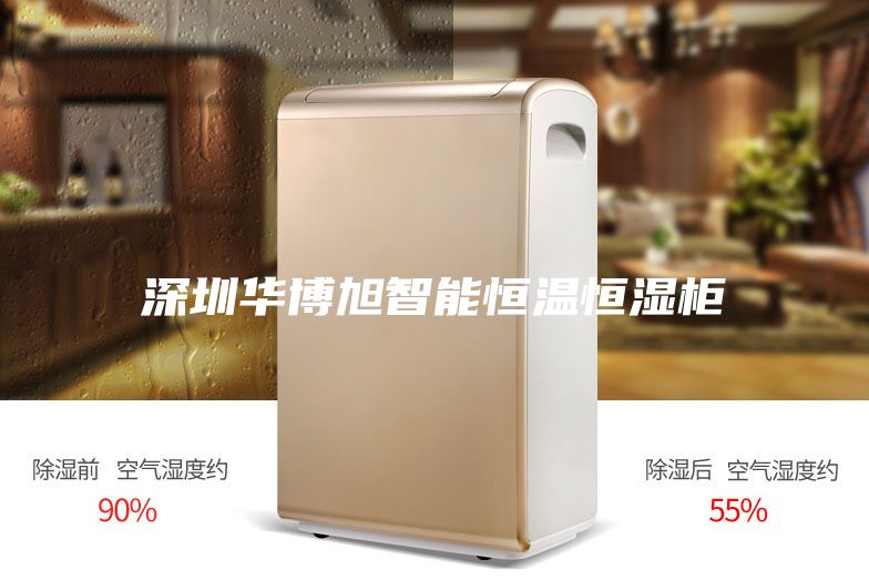 深圳华博旭智能恒温恒湿柜