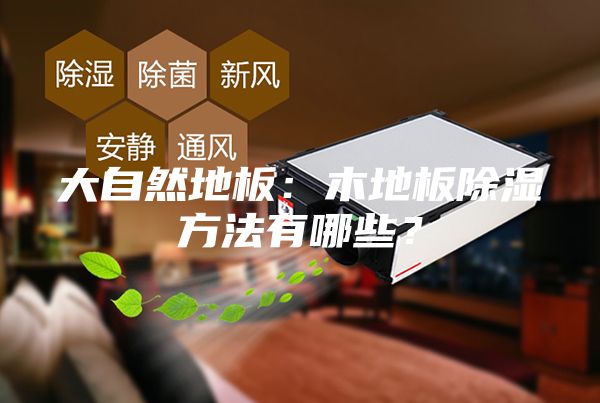 大自然地板：木地板除湿方法有哪些？