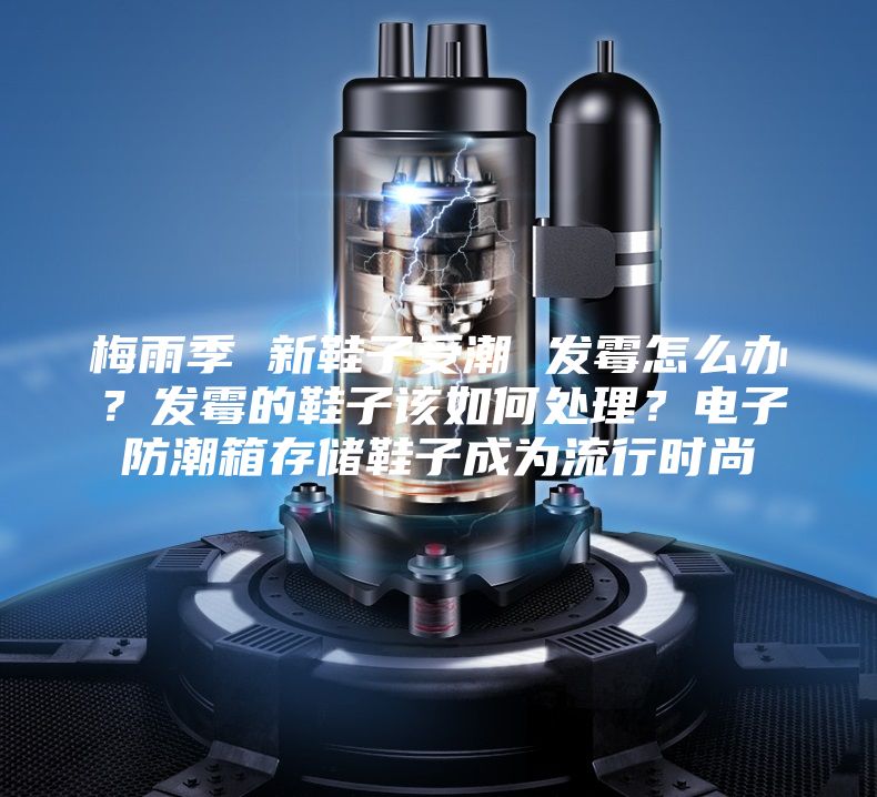 梅雨季 新鞋子受潮 发霉怎么办？发霉的鞋子该如何处理？电子防潮箱存储鞋子成为流行时尚