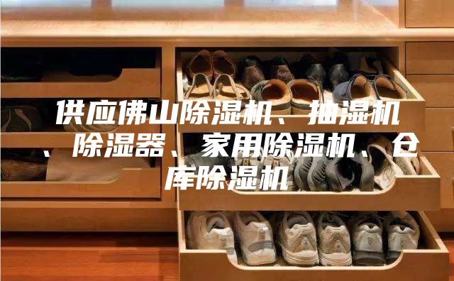供应佛山除湿机、抽湿机、除湿器、家用除湿机、仓库除湿机