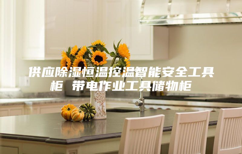 供应除湿恒温控温智能安全工具柜 带电作业工具储物柜