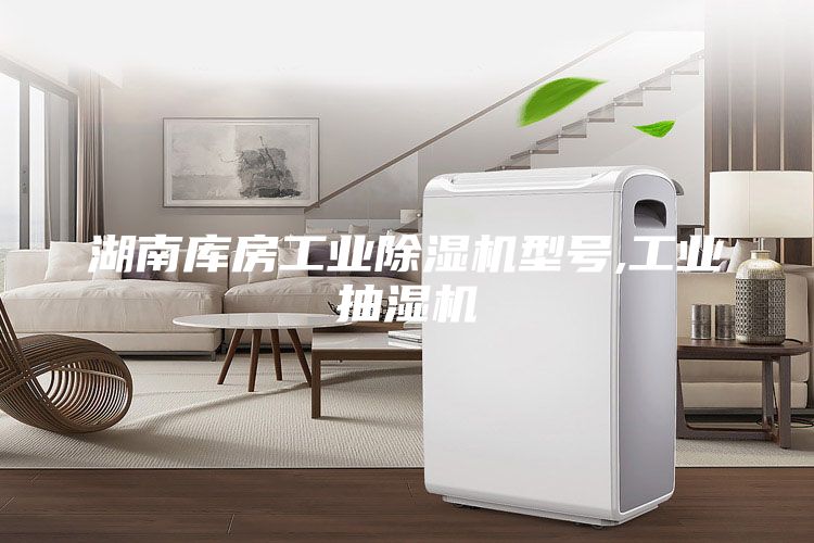 湖南库房工业除湿机型号,工业抽湿机