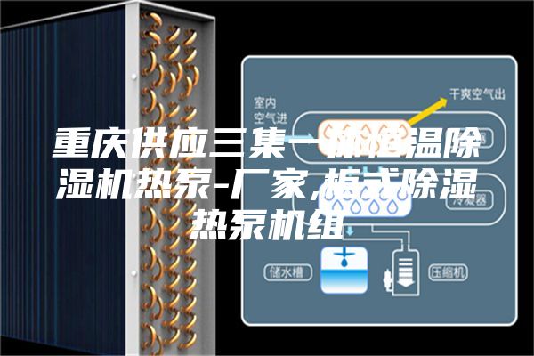 重庆供应三集一体恒温除湿机热泵-厂家,柜式除湿热泵机组