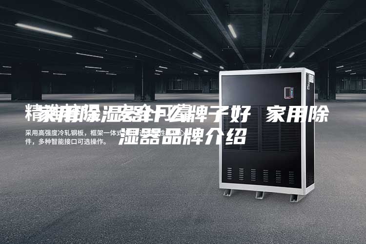 家用除湿器什么牌子好 家用除湿器品牌介绍
