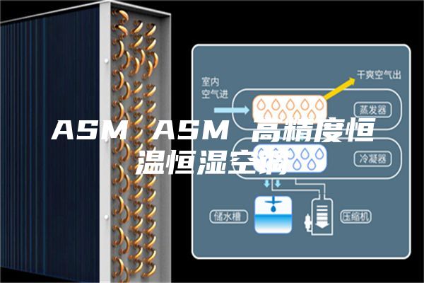 ASM ASM 高精度恒温恒湿空调