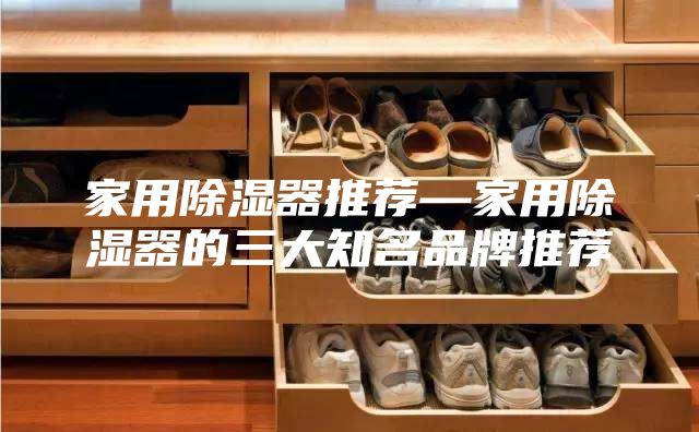家用除湿器推荐—家用除湿器的三大知名品牌推荐