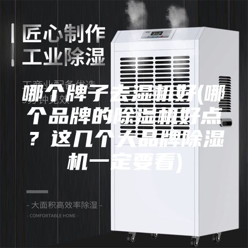 哪个牌子去湿机好(哪个品牌的除湿机好点？这几个大品牌除湿机一定要看)