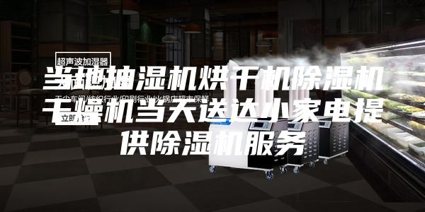 当地抽湿机烘干机除湿机干燥机当天送达小家电提供除湿机服务