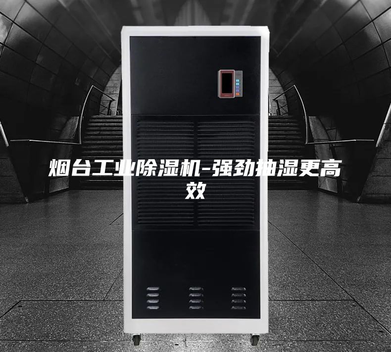 烟台工业除湿机-强劲抽湿更高效