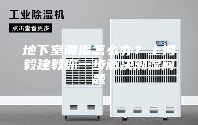 地下室潮湿怎么办？上海毅建教你一步解决潮湿问题
