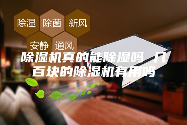 除湿机真的能除湿吗 几百块的除湿机有用吗
