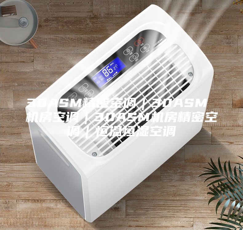 30ASM精密空调｜30ASM 机房空调｜30ASM机房精密空调｜恒温恒湿空调