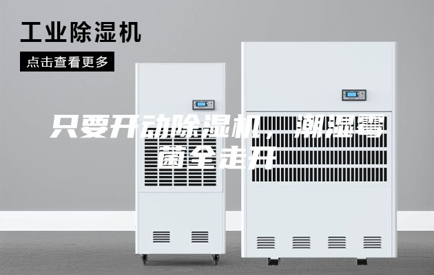 只要开动除湿机，潮湿霉菌全走开