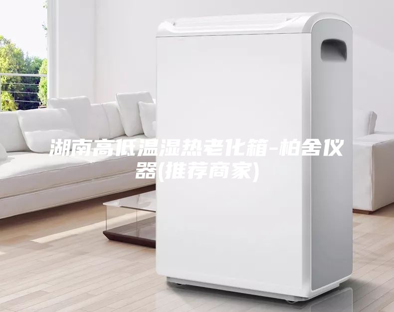 湖南高低温湿热老化箱-柏舍仪器(推荐商家)