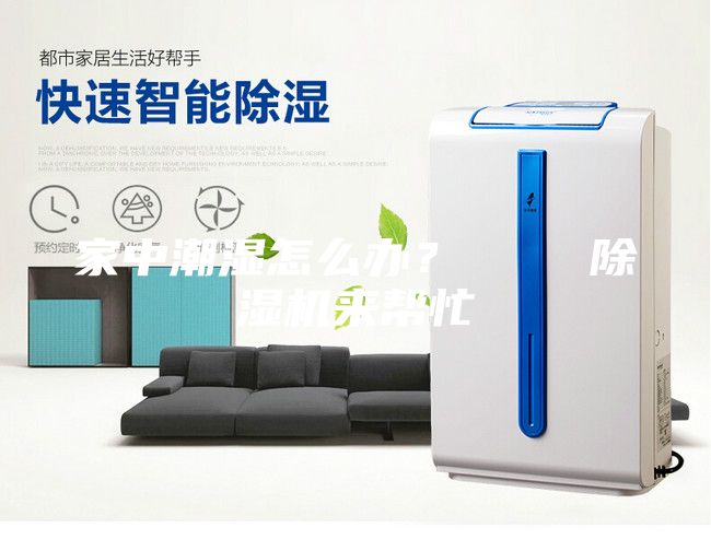 家中潮湿怎么办？    除湿机来帮忙