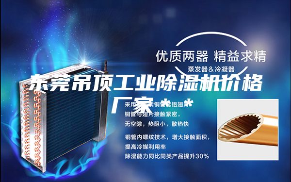 东莞吊顶工业除湿机价格 厂家＊＊