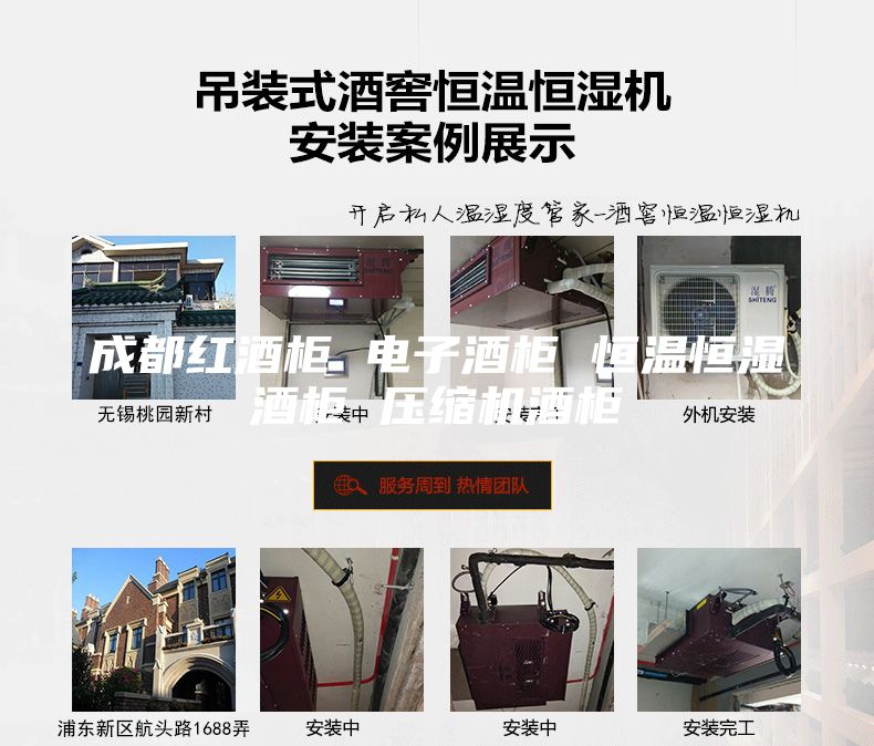 成都红酒柜 电子酒柜 恒温恒湿酒柜 压缩机酒柜
