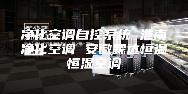 净化空调自控系统 淮南净化空调 安徽霖达恒温恒湿空调
