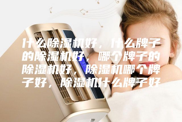 什么除湿机好，什么牌子的除湿机好，哪个牌子的除湿机好，除湿机哪个牌子好，除湿机什么牌子好