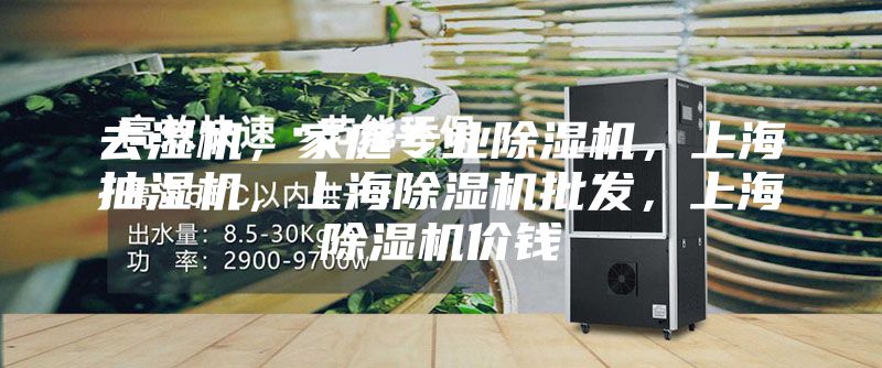 去湿机，家庭专业除湿机，上海抽湿机，上海除湿机批发，上海除湿机价钱