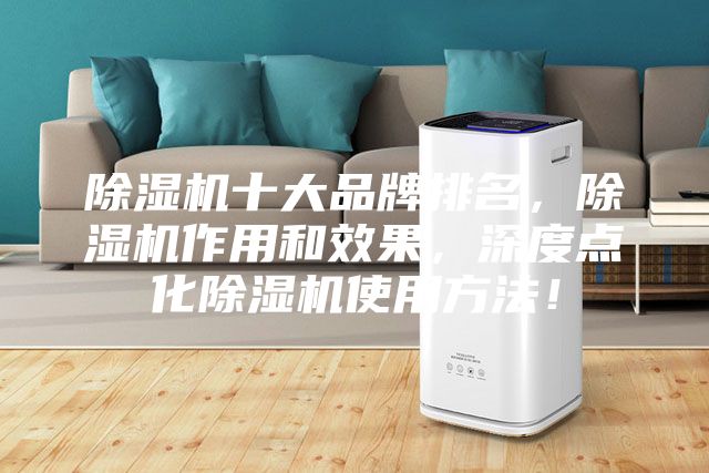 除湿机十大品牌排名，除湿机作用和效果，深度点化除湿机使用方法！
