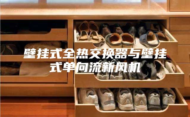 壁挂式全热交换器与壁挂式单向流新风机
