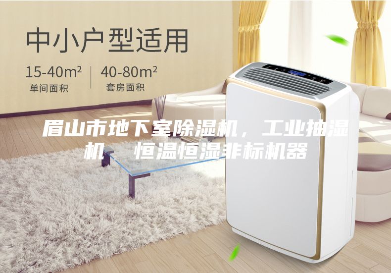 眉山市地下室除湿机，工业抽湿机  恒温恒湿非标机器
