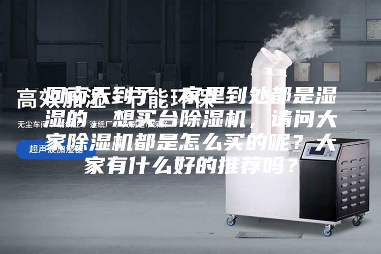 回南天到了，家里到处都是湿湿的，想买台除湿机，请问大家除湿机都是怎么买的呢？大家有什么好的推荐吗？
