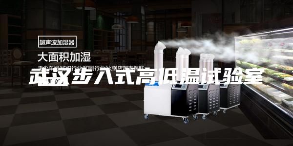 武汉步入式高低温试验室