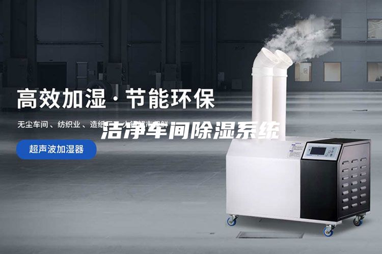 洁净车间除湿系统