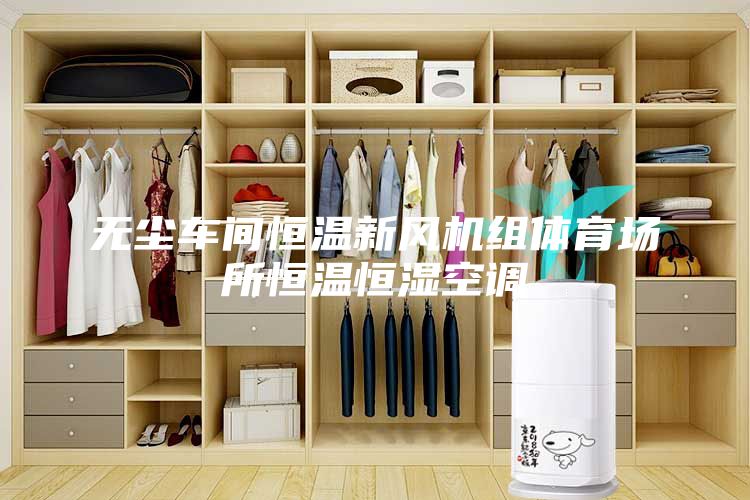 无尘车间恒温新风机组体育场所恒温恒湿空调